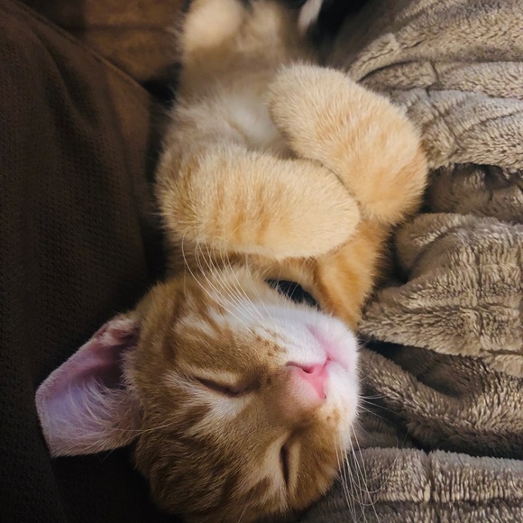 Meet your Posher, Jess! - Picture 2 of 8